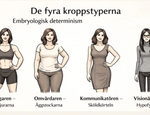 Vilken är din kroppstyp?